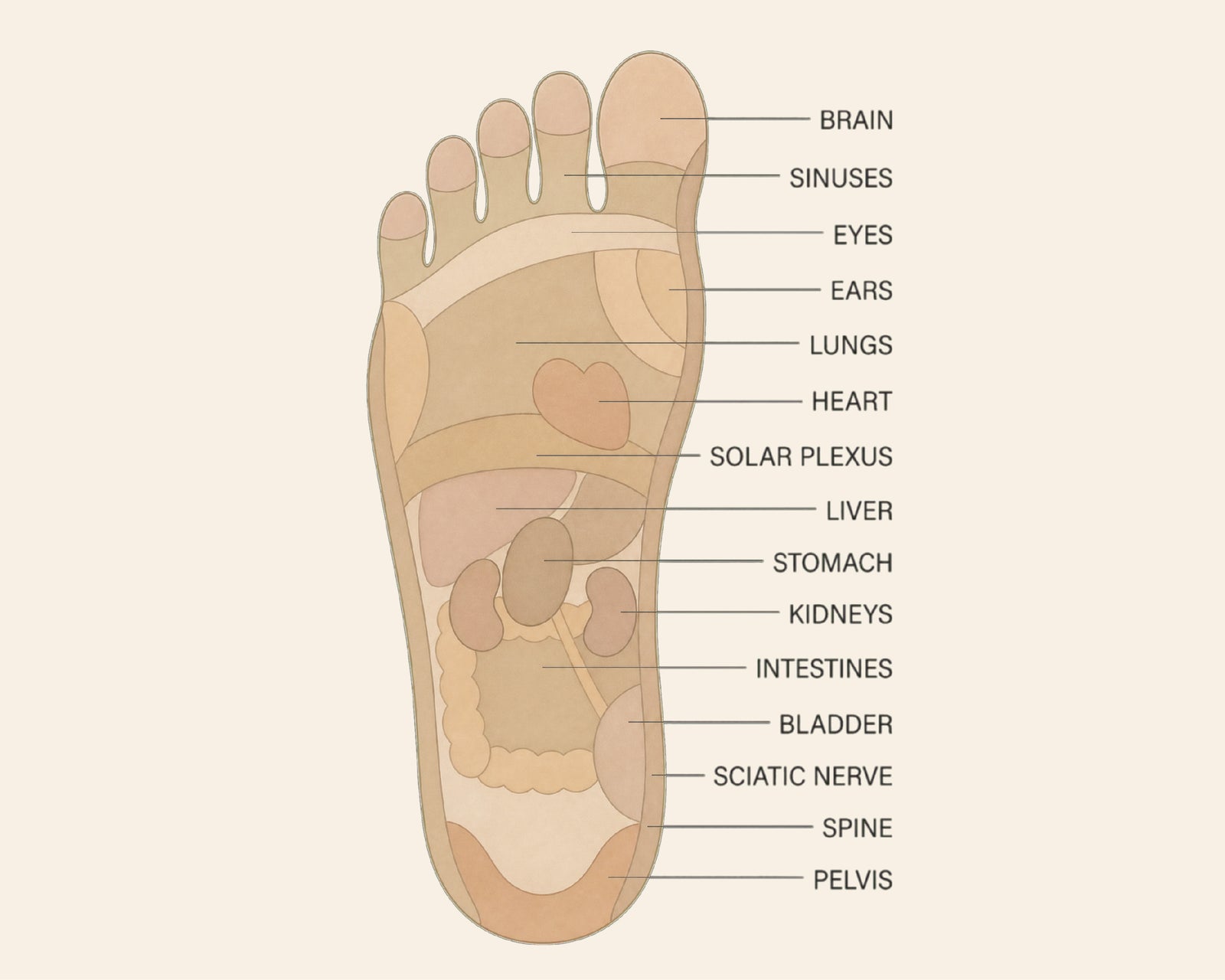 Grounding & Balance